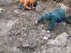 El-equipo-de-la-UVa-ha-realizado-excavaciones-en-el-yacimiento-del-Alto-del-Reinoso-en-2006-y-2007.-Imagen-cortesia-de-Manuel-Rojo-Guerra.JPG_116528909